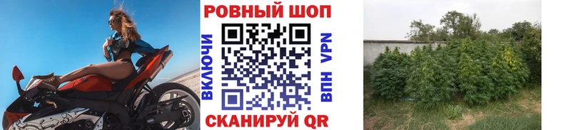 Какие есть наркотики Знаменск Бошки Шишки АМФЕТАМИН Меф КОКАИН