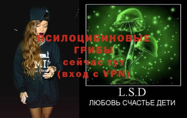 шишки Новокубанск