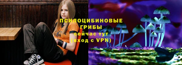 твердый Зеленодольск