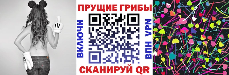 Псилоцибиновые грибы мухоморы где купить наркотик Знаменск